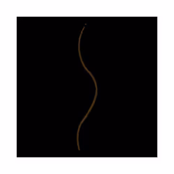 Wet n Wild, Ultimate Brow Micro Brow Pencil, 649A Deep Brown, 0.06g