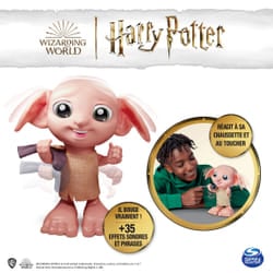 6067280 interactive toy