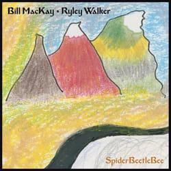 ImportCDs Spiderbeetlebee Vinyl Americana