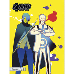 Boruto: Naruto Next generations - Kawaki (DVD)
