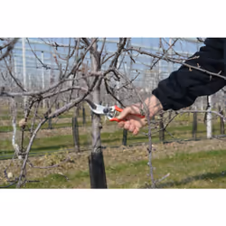 Felco 2 pruning shears Anvil Red - Additional view 4