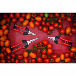 FELCO Model 320 Snips, Red
