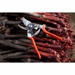 Felco 14 pruning shears Bypass Red