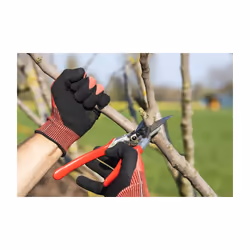 Felco 701