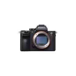 SONY A7R III + SEL 100-400MM F4.5-5.6 OSS
