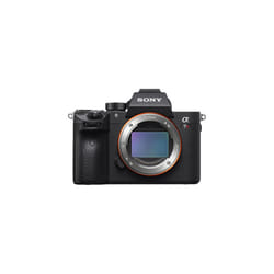 SONY A7R III + SEL 100-400MM F4.5-5.6 OSS