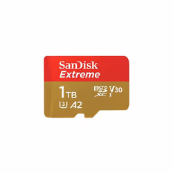 SanDisk Extreme 1TB MicroSD Memory Card for DJI Mavic Mini 2 Drone - C