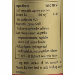 Solgar Vitamin B6 100 mg Vegetable Capsules - 100 capsules