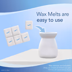 Febreze Wax Melts Gain Original Air Freshener (1 Count  2.75 Ounce)
