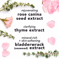 Mario Badescu Facial Spray with Aloe  Herbs and Rose Water for All Skin Types  Face Mist that Hydrates  Rejuvenates & Clarifies  4 FL OZ(Pack of 2)