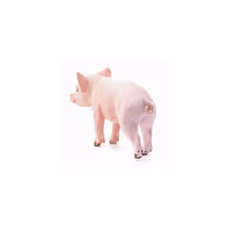 Schleich Farm World Piglet Standing Educational Figurine for Kids Ages 3-8, Pink