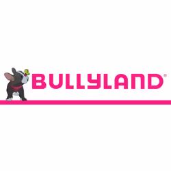 Bullyland BUL-12761 Woody