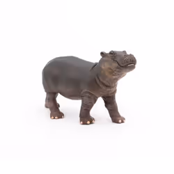 Papo -Hand-Painted - Figurine -Wild Animal Kingdom - Hippopotamus Calf