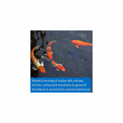 POND 5 IN 1 POND TEST STRIPS Pond Water Test Strips 25Count