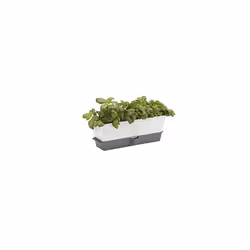 Cole & Mason Burwell Self-Watering Potted Herb Saver, Windowsill Herb Planter Indoor/Herb Box/Indoor Herb Garden, Triple, Sui ...