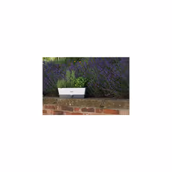 Cole & Mason Burwell Self-Watering Potted Herb Saver, Windowsill Herb Planter Indoor/Herb Box/Indoor Herb Garden, Triple, Suitable for 3 pots (85 mm)