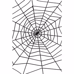 Smiffys Spider Web with Spider - Large