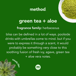 Method Foaming Hand Wash  Green Tea Aloe Foam  10 oz Bottle