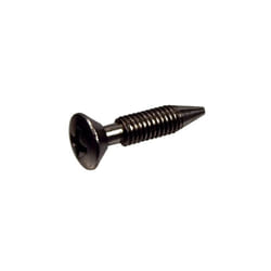 Pentair 37337-0079 Retaining Screw Replacement Sta-Rite Pool and Spa Light Housing