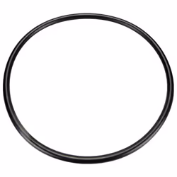 Pentair U9-375 O-Ring for Trap Cover Replacement for Select Sta-Rite P