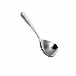 Excellante Stainless Steel Multi Purpose Serving Spoon, 8.38-Inch