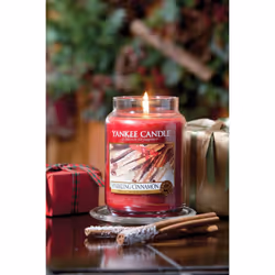 Yankee Candle Large Jar Candle, Sparkling Cinnamon