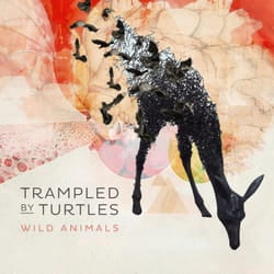 Alive AG Wild Animals (LP) Vinyl Indie 30 cm Trampled By Turtles