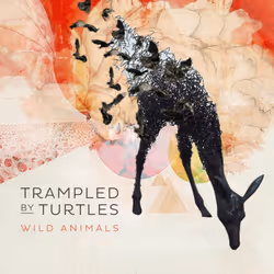 Alive AG Wild Animals, Indie, CD, Trampled By Turtles, Physical media, Essential Sales and Marketing Ltd. / Thirty Tigers