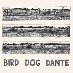 ImportCDs Bird Dog Dante, Pop rock, Vinyl, Physical media, Adult, 1 discs, 15/06/2018