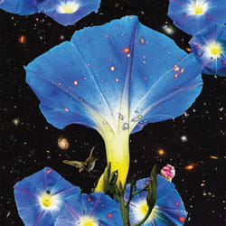 ImportCDs Nighttime Birds And Morning Stars CD Americana