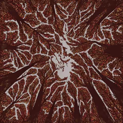 ImportCDs Crown Shyness, Pop rock, CD, Physical media, Adult, 1 discs, 19/07/2018
