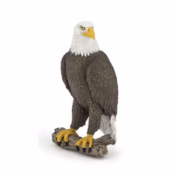 Papo -Hand-Painted - Figurine -Wild Animal Kingdom - Sea Eagle -50181 -Collectible - for Children - Suitable for Boys and Gir ...