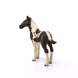 Schleich Pinto Foal Toy Figure  Realistic Spotted Horse for Kids  Farm
