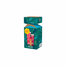 Burt's Bees Lip Balm  Squeezy Tinted Balm and Hand Cream Gift Set  Merry Melon  Ready to Give Holiday Gift  1 Gift Set