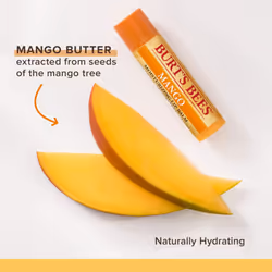 Burt's Bees 100% Natural Moisturizing Lip Balm  Multipack - Original Beeswax  Coconut & Pear  Vanilla Bean  Mango & Wild Cherry with Beeswax & Fruit E