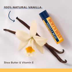 Burt's Bees 100% Natural Moisturizing Lip Balm  Multipack - Original Beeswax  Coconut & Pear  Vanilla Bean  Mango & Wild Cherry with Beeswax & Fruit E