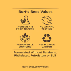 BURT'S BEES - Complete Nourishment Facial Oil - 0.51 fl. oz. (15 ml)