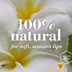 Burts Bees Vanilla Maple Lip Balm  425 GR