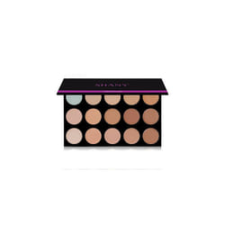 SHANY Masterpiece 15 Color Foundation, Concealer, Camouflage Palette/Refill -TONED