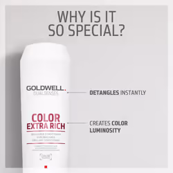Goldwell Dualsenses Color Extra Rich Brilliance Conditioner  10.1 Fl Oz (Pack of 1)