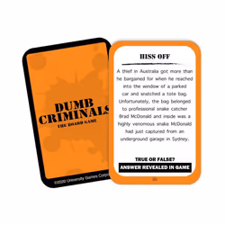 Dumb Criminals Board Game