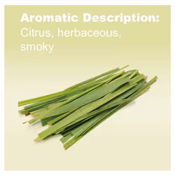 doTERRA Lemongrass Essential Oil 15 ML