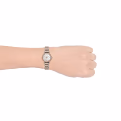 Fossil Women's Carlie Mini Quartz Stainless Steel Three-Hand Watch  Color: Rose Gold/Silver (Model: ES4649)
