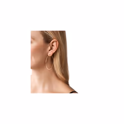 Michael Kors Stainless Steel and Cubic Zirconia Hoop Earrings for Women  Color: Rose Gold (Model: MKJ7902791)