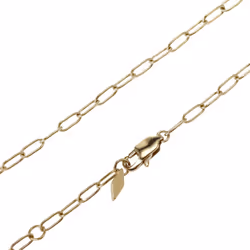 Fossil Women's Drew Stainless Steel Lariat Necklace  Color: Gold (Model: JF04172710)