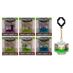 ak tronic Software & Services 92939 key tag Multicolour 1 pc(s)