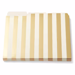 Kate Spade Gold Stripe File Folders pack of 6