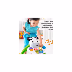 Fisher-Price 03708002549 DKH80 Learn with Me Zebra Walker