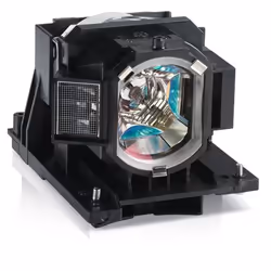 InFocus Replacement Lamp for, IN5122, IN5124, 245 W, 3000 h, Infocus, IN5122, IN5124