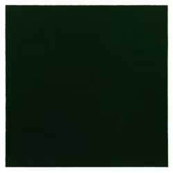 Mohawk Home 24"""" x 24"""" Indoor/Outdoor 0.25"""" Pile Height  Peel and Stick Carpet Tile  Green Polyester  (15 Tiles) (60 sqft/Box)